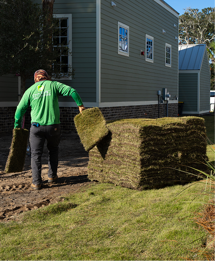 Landscape Installation Image