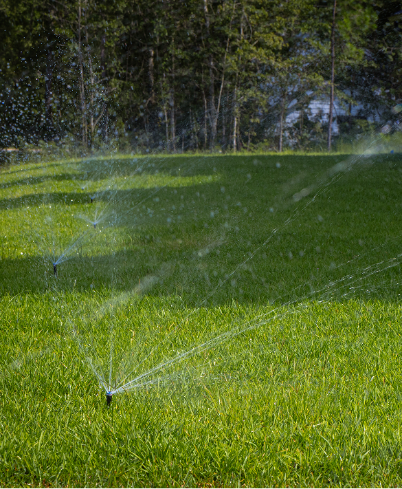 Irrigation Image